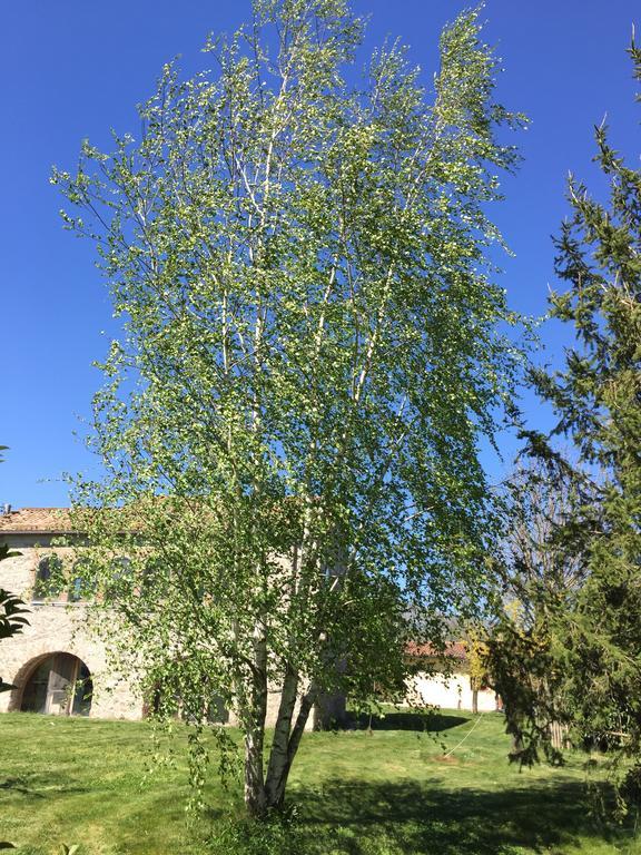 Agriturismo Le Due Arcate Villa San Massimo  Ngoại thất bức ảnh